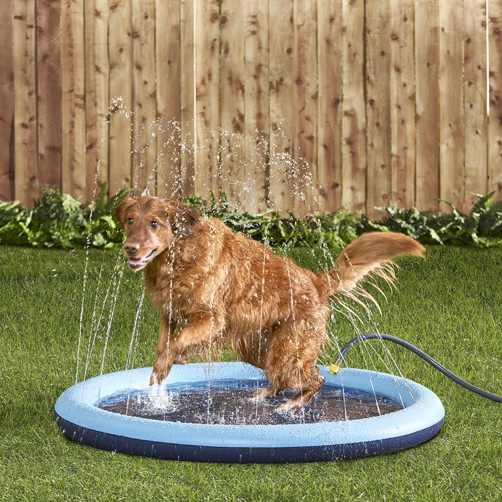 SplashyPaws™ Dog Sprinkler Pool